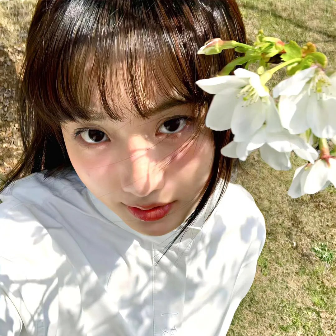 彩云妃子